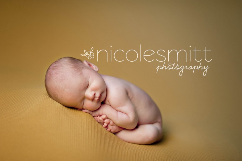 Mansfield newborn photographer